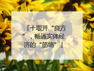 十堰开“良方”，畅通实体经济的“筋络”