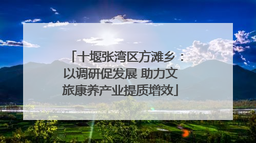 十堰张湾区方滩乡：以调研促发展 助力文旅康养产业提质增效