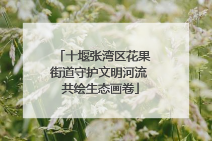 十堰张湾区花果街道守护文明河流 共绘生态画卷