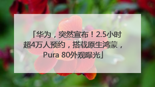 华为，突然宣布！2.5小时超4万人预约，搭载原生鸿蒙，Pura 80外观曝光