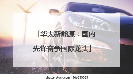 华太新能源：国内先锋奋争国际龙头