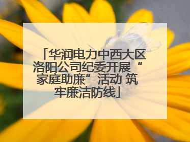 华润电力中西大区洛阳公司纪委开展“家庭助廉”活动 筑牢廉洁防线