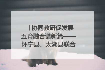 协同教研促发展 五育融合谱新篇——怀宁县、太湖县联合教研活动在月山镇中心学校成功举办