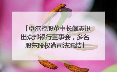 卓尔控股董事长阎志退出众邦银行董事会，多名股东股权遭司法冻结