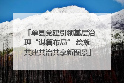 单县党建引领基层治理“谋篇布局” 绘就共建共治共享新图景