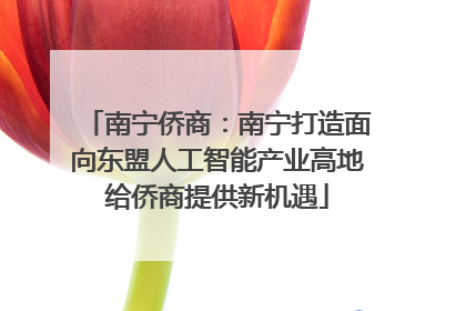 南宁侨商：南宁打造面向东盟人工智能产业高地给侨商提供新机遇