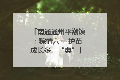 南通通州平潮镇：粽情六一 护苗成长多一“典”