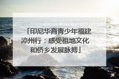 印尼华裔青少年福建漳州行：感受祖地文化和侨乡发展脉搏