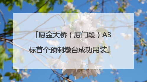 厦金大桥（厦门段）A3标首个预制墩台成功吊装