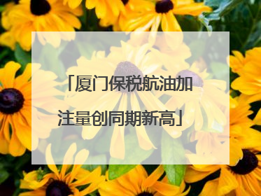 厦门保税航油加注量创同期新高
