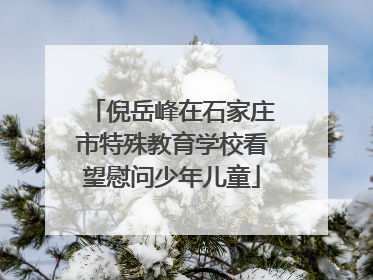 倪岳峰在石家庄市特殊教育学校看望慰问少年儿童