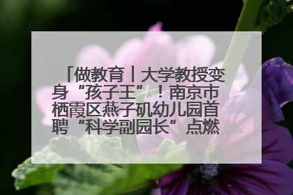 做教育︱大学教授变身“孩子王”！南京市栖霞区燕子矶幼儿园首聘“科学副园长”点燃萌娃科学梦