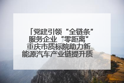 党建引领“全链条” 服务企业“零距离” 重庆市质标院助力新能源汽车产业链提升质量管理水平