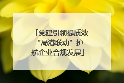 党建引领提质效 “局港联动”护航企业合规发展