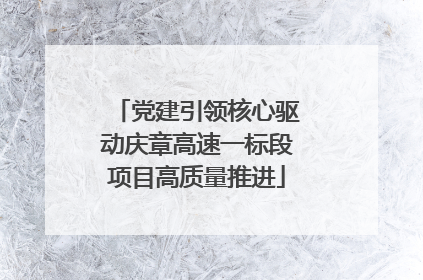 党建引领核心驱动庆章高速一标段项目高质量推进