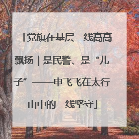 党旗在基层一线高高飘扬｜是民警、是“儿子”——申飞飞在太行山中的一线坚守