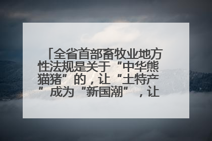 全省首部畜牧业地方性法规是关于“中华熊猫猪”的，让“土特产”成为“新国潮”，让“农产品”升格为“城市IP”