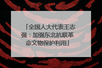 全国人大代表王志强：加强东北抗联革命文物保护利用