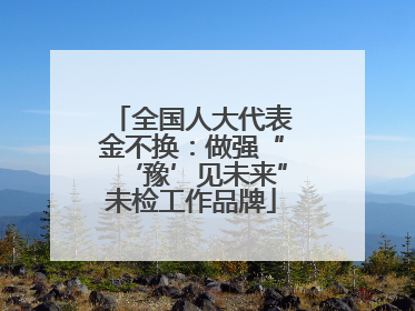 全国人大代表金不换：做强“‘豫’见未来”未检工作品牌