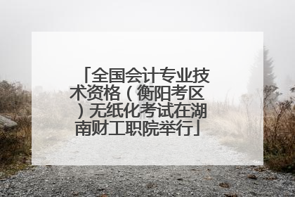 全国会计专业技术资格（衡阳考区）无纸化考试在湖南财工职院举行