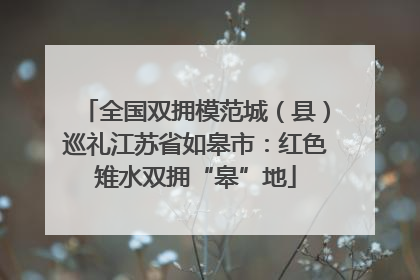 全国双拥模范城（县）巡礼江苏省如皋市：红色雉水双拥“皋”地