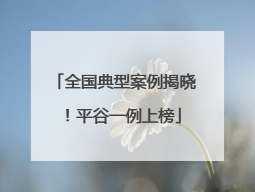 全国典型案例揭晓！平谷一例上榜