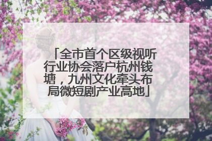 全市首个区级视听行业协会落户杭州钱塘，九州文化牵头布局微短剧产业高地