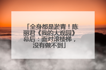 全身都是淤青！陈丽君《我的大观园》幕后：面对滚楼梯，没有做不到