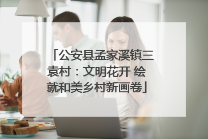 公安县孟家溪镇三袁村：文明花开 绘就和美乡村新画卷
