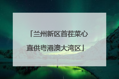 兰州新区首茬菜心直供粤港澳大湾区