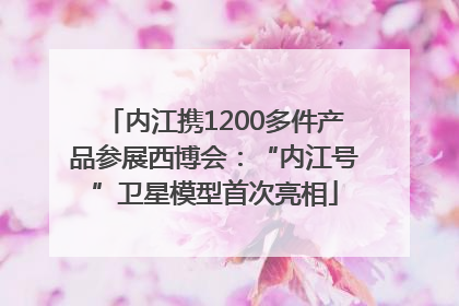内江携1200多件产品参展西博会：“内江号”卫星模型首次亮相