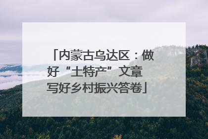 内蒙古乌达区：做好“土特产”文章 写好乡村振兴答卷