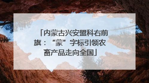 内蒙古兴安盟科右前旗：“蒙”字标引领农畜产品走向全国