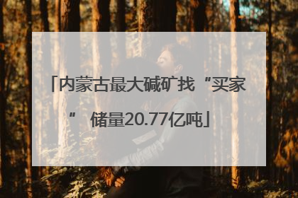 内蒙古最大碱矿找“买家” 储量20.77亿吨