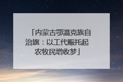内蒙古鄂温克族自治旗：以工代赈托起农牧民增收梦