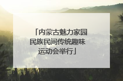 内蒙古魅力家园民族民间传统趣味运动会举行