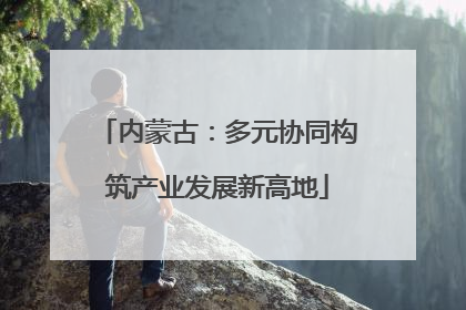 内蒙古：多元协同构筑产业发展新高地