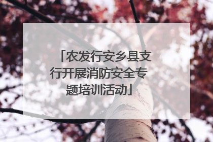 农发行安乡县支行开展消防安全专题培训活动