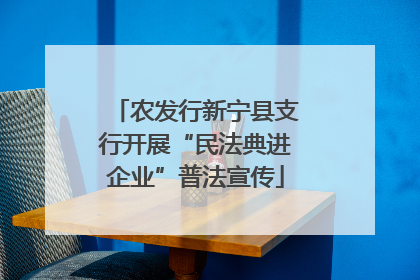 农发行新宁县支行开展“民法典进企业”普法宣传