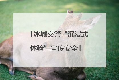 冰城交警“沉浸式体验”宣传安全