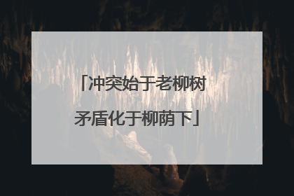 冲突始于老柳树 矛盾化于柳荫下