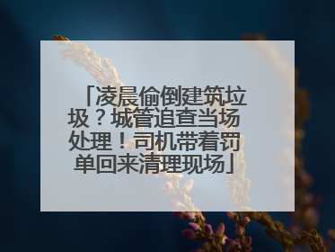 凌晨偷倒建筑垃圾？城管追查当场处理！司机带着罚单回来清理现场