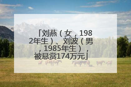 刘燕（女，1982年生）、刘波（男，1985年生），被悬赏174万元