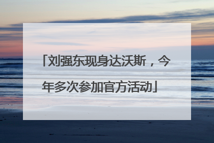 刘强东现身达沃斯，今年多次参加官方活动