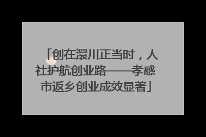 创在澴川正当时，人社护航创业路——孝感市返乡创业成效显著