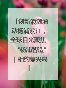 创新浪潮涌动杨浦滨江，全球目光聚焦“杨浦智造”｜相约复兴岛
