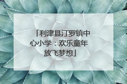 利津县汀罗镇中心小学：欢乐童年 放飞梦想