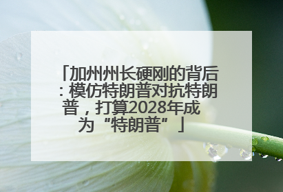 加州州长硬刚的背后：模仿特朗普对抗特朗普，打算2028年成为“特朗普”