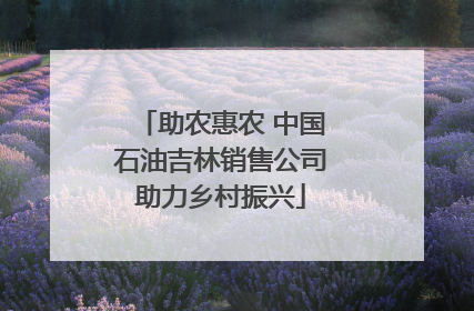 助农惠农 中国石油吉林销售公司助力乡村振兴