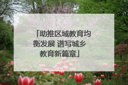 助推区域教育均衡发展 谱写城乡教育新篇章